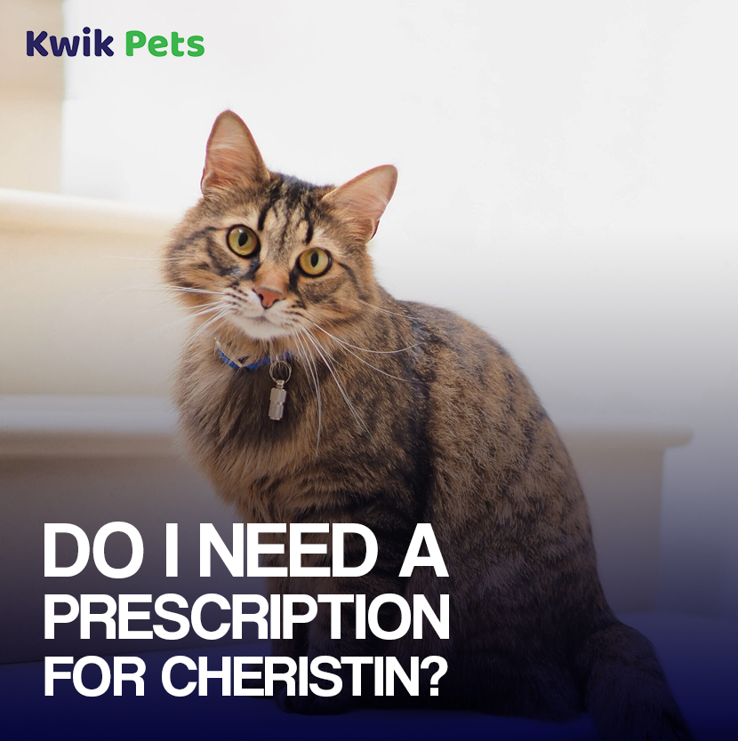 cheristin for cats