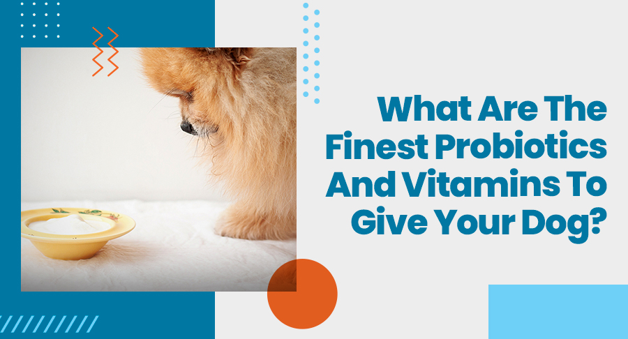vitamin for dogs